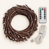 WillowGleam branch light with remote control and USB cable — what's in the box